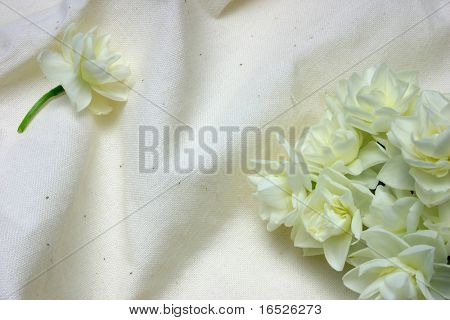 Początku Jonquil Cheer na bawełniane II