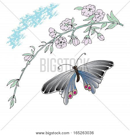 Magnolia and butterfly Hand drawn sketched vector illustration. Flower Doodle Flourish graphic with ornate pattern.