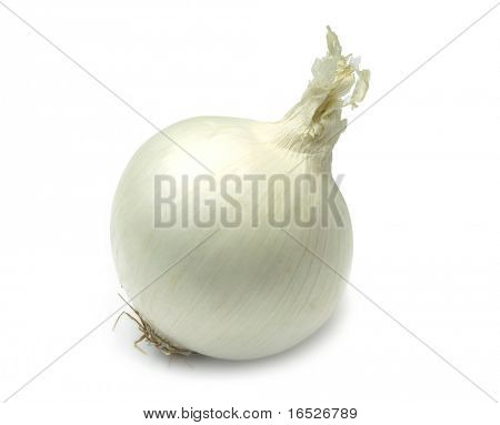 Single white onion isolated on white