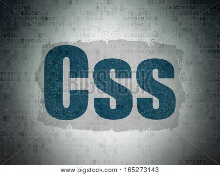 Database concept: Painted blue text Css on Digital Data Paper background with   Tag Cloud