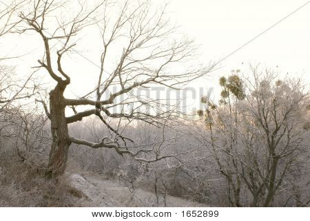 Holy_Mountains