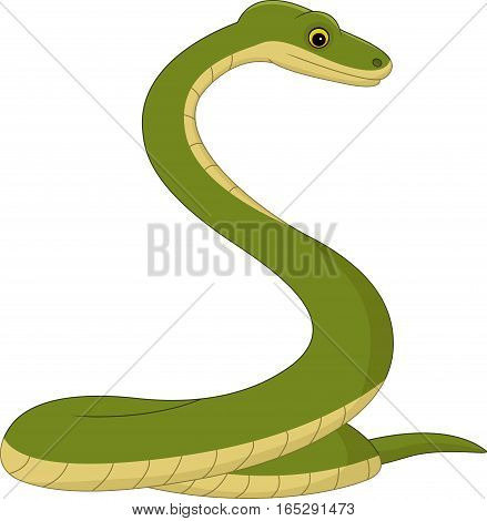 Happy snake cartoon isolated on white background