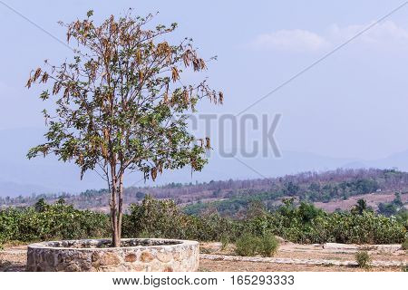 View form Chinese town in pai city Thailand, Santichon