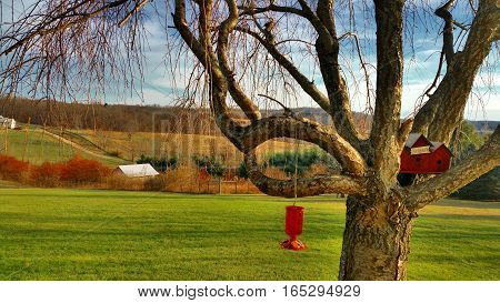 Home Sweet Home Hillside Afternoon View and Rest