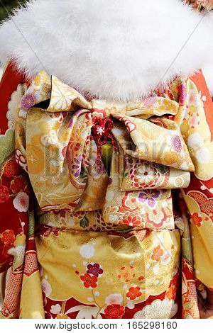 Back view of Japanese young women wearing traditional Kimono