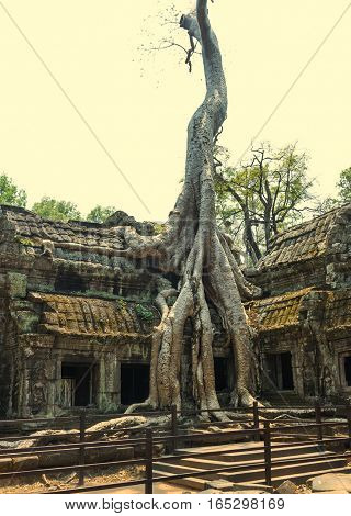 Temple of Angkor Wat. Siem Reap. Khmer civilization. Travel photos from Cambodia