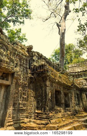 Temple of Angkor Wat. Siem Reap. Khmer civilization. Travel photos from Cambodia