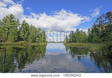 Quiet Cove in Canoe Country on Carp Lake in Quetico Provincial Park