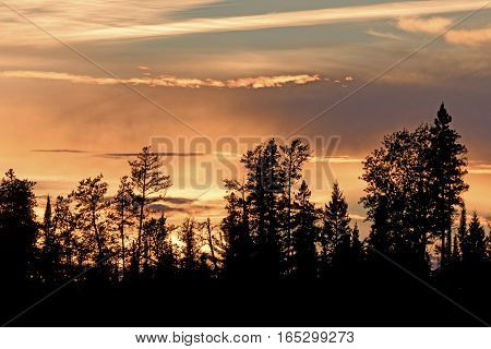 Silhouettes at Sunset in the North Woods on Carp Lake in Quetico Provincial Park in Ontario