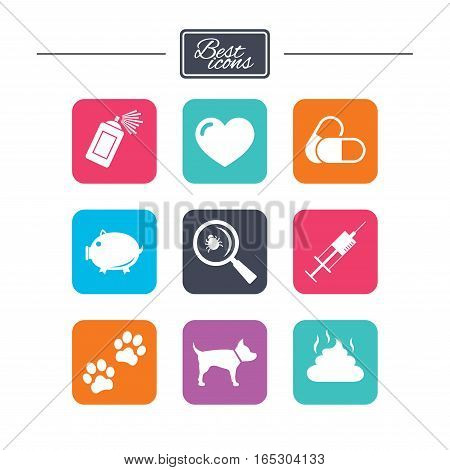 Veterinary, pets icons. Dog paws, syringe and magnifier signs. Pills, heart and feces symbols. Colorful flat square buttons with icons. Vector