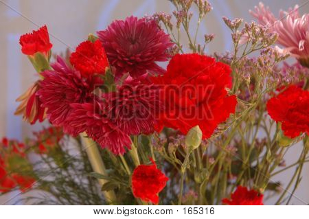 Red Flowers