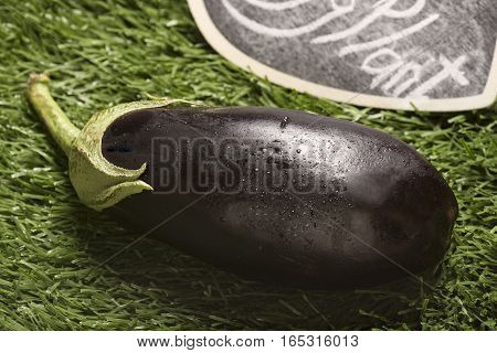 fresh eggplant on grass background, closeup image
