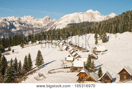 Alpine meadow during winter time in Julian Alps