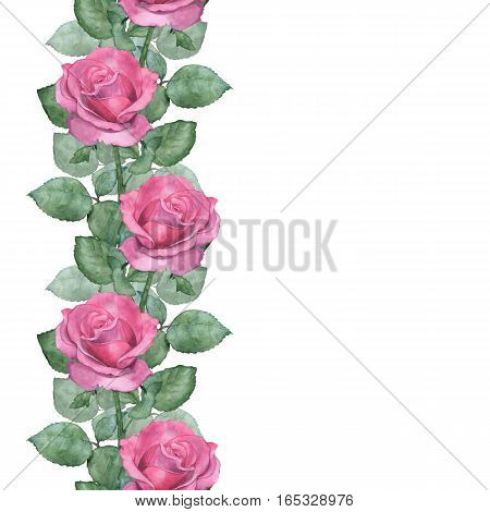 Watercolor seamless border of pink roses. Handmade drawing. Isolated on white
