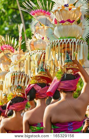 Group of beautiful Balinese women in costumes - sarong with offering for Hindu ceremony. Traditional dances arts festivals culture of Bali island and Indonesia people. Indonesian travel background