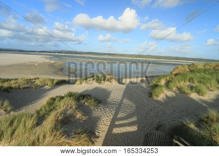 DUNES  of the Touquet , PAS-DE-Calais, hauts de France , France