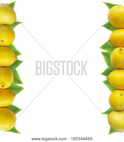 Lemons at border of image with copy space for text. Top view. Ripe lemons close-up on a white background. Background citrus.