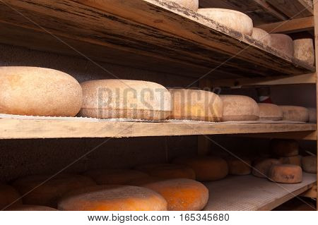 A cheese on a wooden shelves in a factory