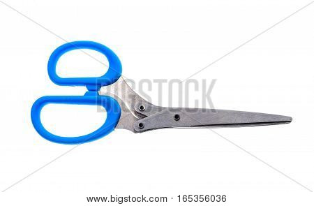 Herb And Spice Scissors With Comb On A White Background.