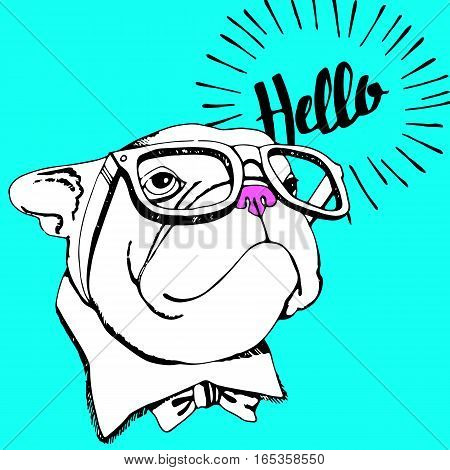 bulldog dog animal french vector illustration pet breed cute drawing puppy