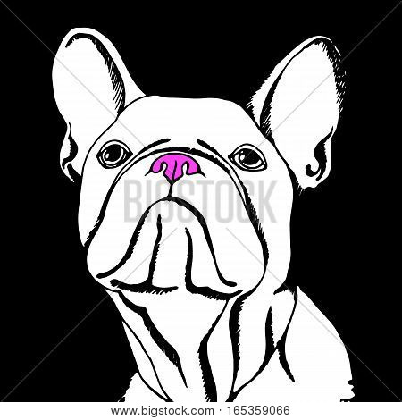bulldog dog animal french vector illustration pet breed cute drawing puppy