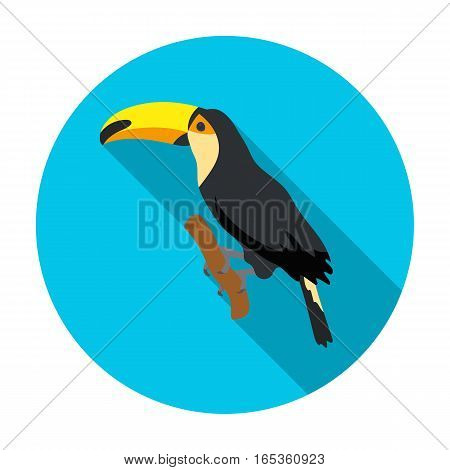 Brazilian toucan icon in flat design isolated on white background. Brazil country symbol stock vector illustration.