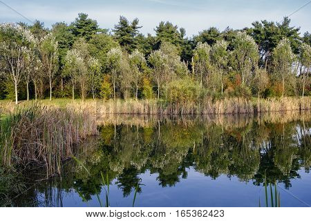 Grugnotorto park (Brianza Lombardy Italy): the little lake at fall