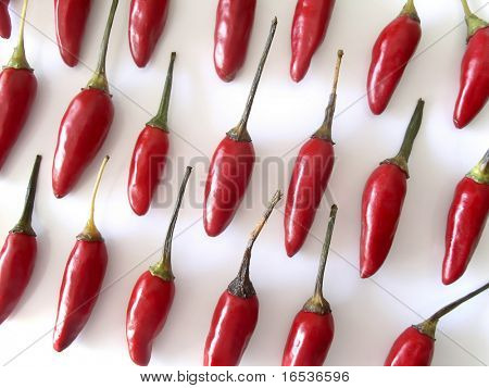 Red hot chili peppers zarovnán v řádcích nad bílým pozadím.