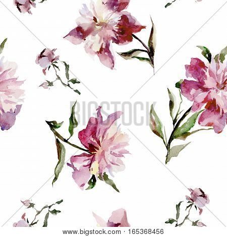 Seamless pattern with beautiful open pink peonies and buds on white background. Watercolor painting. Hand drown. 