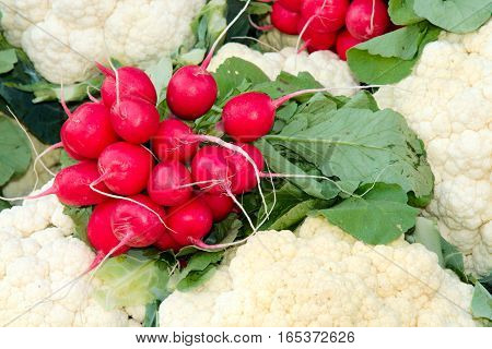 Close of radishes and cauliflower in a market