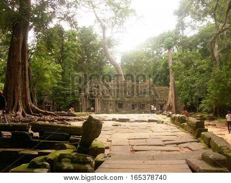 SIEM REAP, CAMBODIA - AUGUST, 06 - The entrance of Ta Phrom ancient temple with big roots and tree that grew on it The temple is also known for Tomb Raider movie