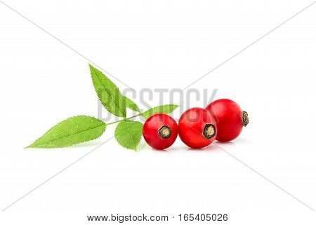 Rosehip with leaves isolated on white background.