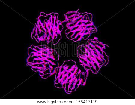 Molecular structure of Serum amyloid P component (anaglyph) 3D rendering