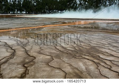 Hot water from the hotspring in the distance runs across the mirco dams created by brown algae.