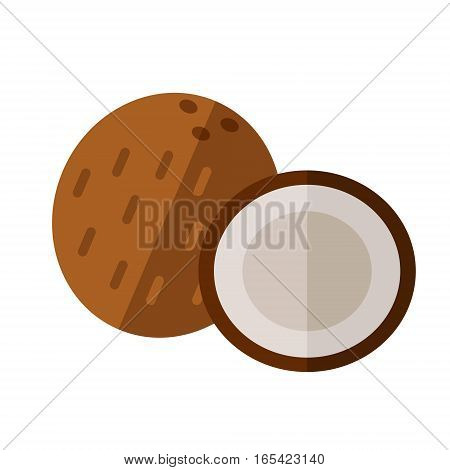 Coconut Drupe With Half Section Vector Illustration. Superfood Cocoanut Icon. Healthy Detox Natural