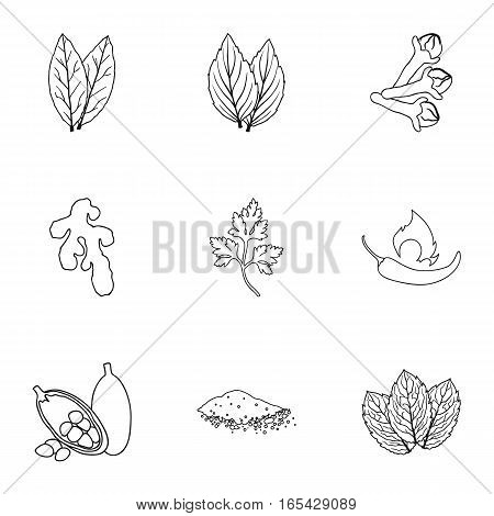 Herb and spices set icons in outline style. Big collection of herb and spices vector symbol stock