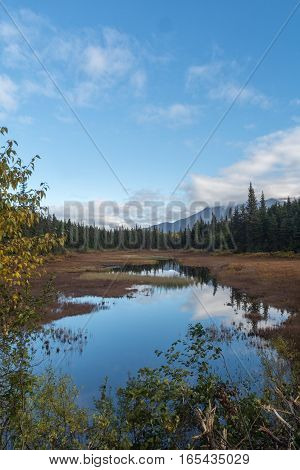 An alpine pond relfects a blue sky