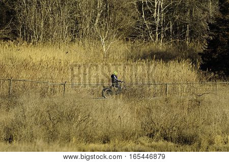 Fairhaven Massachusetts USA - March 18 2016: Man riding three-wheeler along Phoenix Bike Trail in late winter