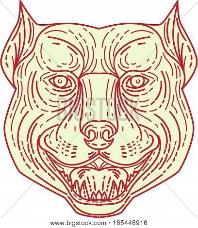 Mono line style illustration of an angry pitbull dog mongrel head facing front set on isolated white background.