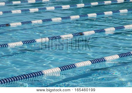 Swimming lanes in a pool, no people.