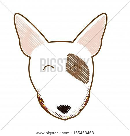 bull terrier dog face icon over white background. colorful design. vector illustration