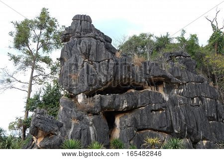 Suan Hin Pha Ngam or Thailand's Kunming A limestone garden in Loei Thailand