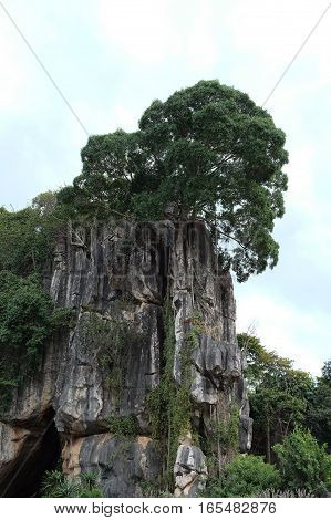 Suan Hin Pha Ngam or Thailand's Kunming A limestone garden in Loei Thailand