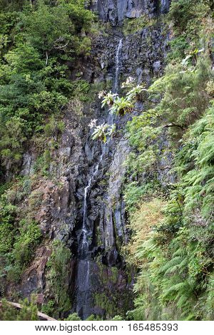 Risco Waterfall of the Twenty-five Fountains Levada hiking trail Madeira Portugal