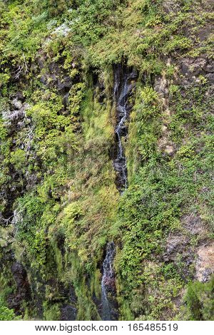 Risco Waterfall of the Twenty-five Fountains Levada hiking trail Madeira Portugal