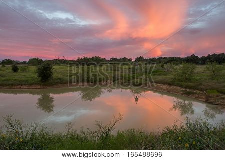Sunrise over ranch pond and feeder in South Texas near Poteet.