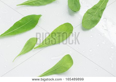 Arugula Leaves. Leaf over a white background