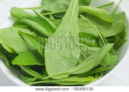 Arugula Leaves into a bowl over a white background