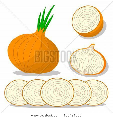 Abstract vector illustration logo for whole ripe vegetables round onion with green stem cut sliced