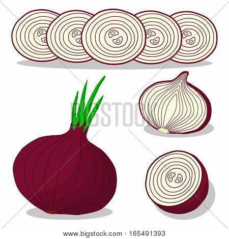 Abstract vector illustration logo for whole ripe vegetables round onion with green stem cut sliced